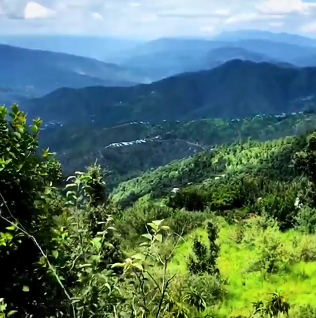 Land in Valley View Location
